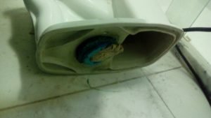 Desentupimento de vaso sanitário